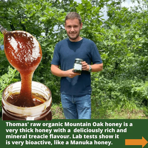 Raw Organic Honey - Artisan Greek Mountain Oak 1kg