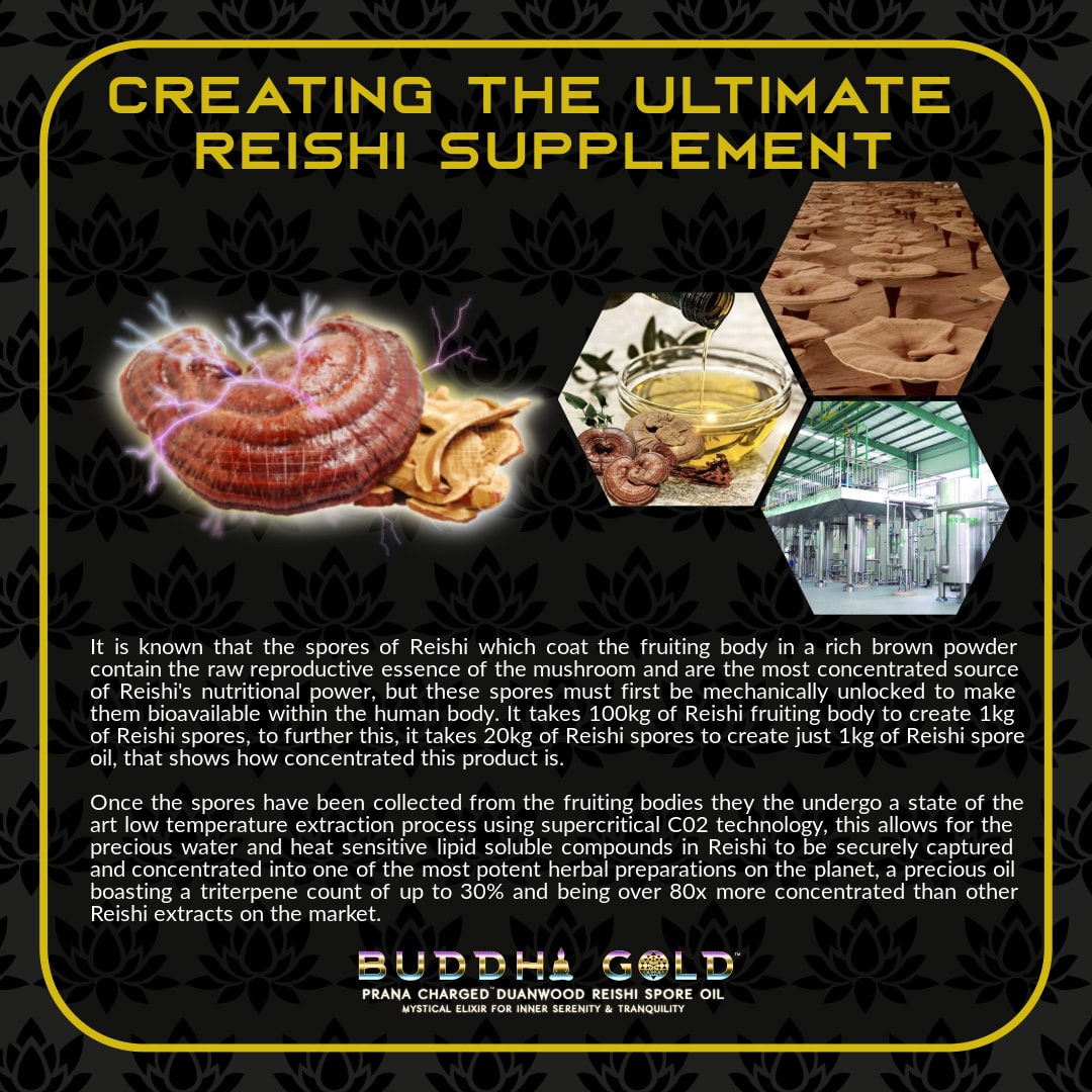 Buddha Gold Reishi Oil 30ml, Primal Alchemy